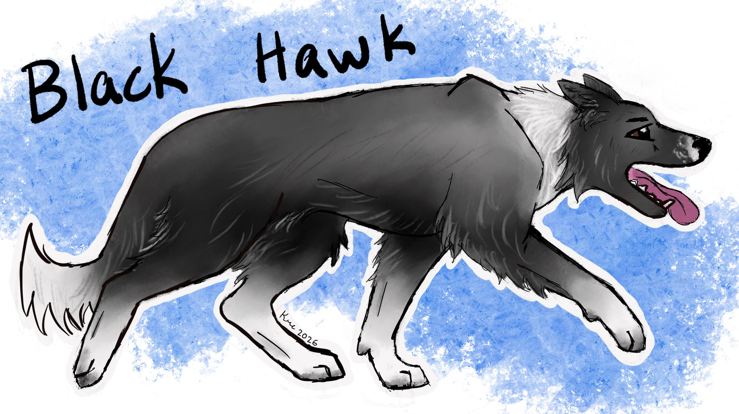 Border Collie Sticker